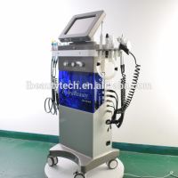 9 in 1 Multifunction Facial Beauty Equipment Machine/Hydra beauty machine